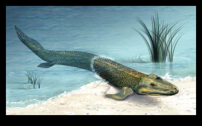 Fishy Firsts Πρωτοποριακές Στιγμές στο Ψάρεμα 2 Fishy Firsts: Πρωτοποριακές στιγμές στο ψάρεμα