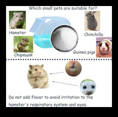 Το κομψό τσιντσιλά συνέχισε πώς να κρατάς το τρωκτικό σου κομψό με στολίδια 2 Κομψό τσιντσιλά Συνέχεια: Κρατήστε το τρωκτικό σας κομψό με στολίδια