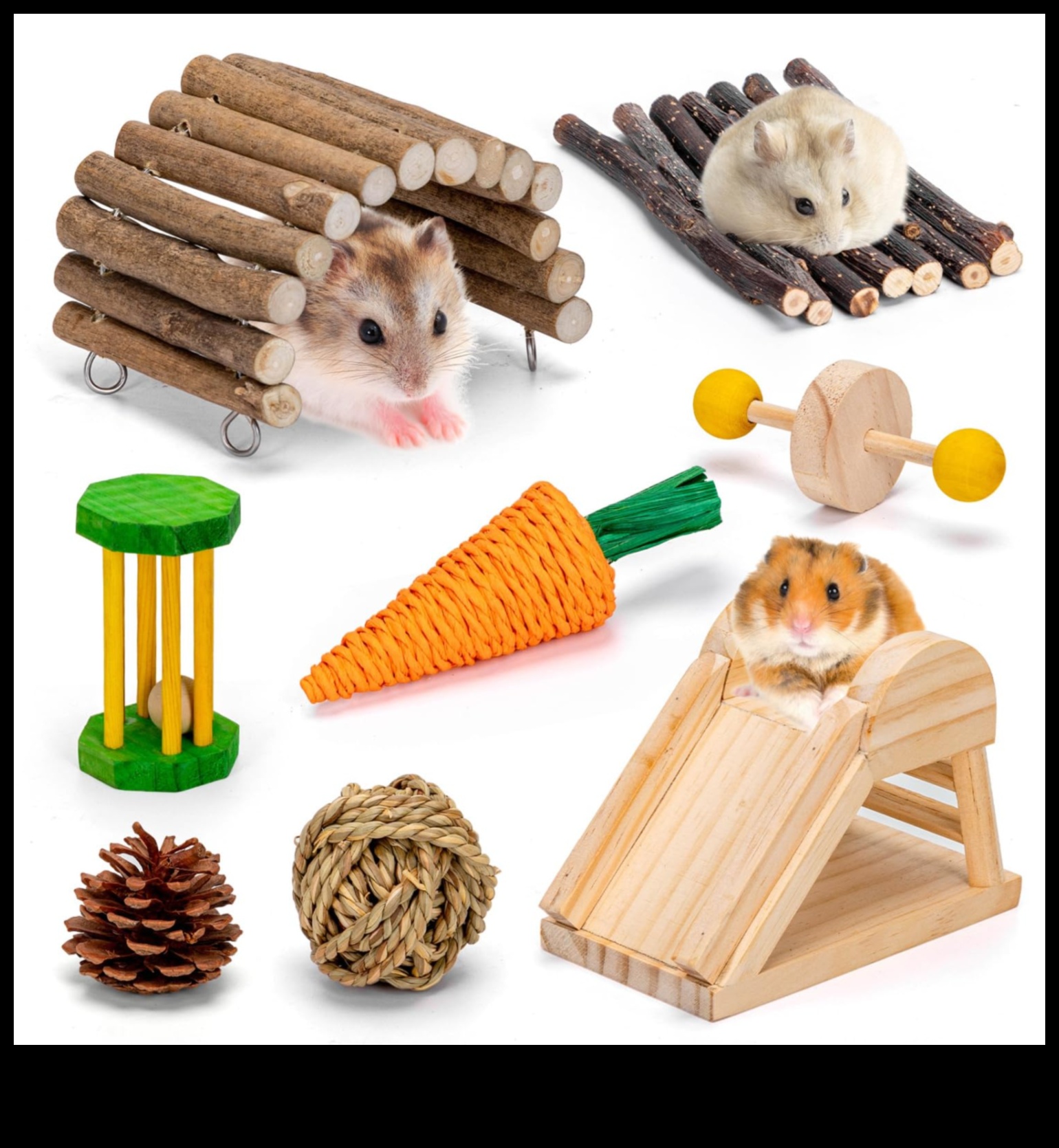 Το κομψό τσιντσιλά συνέχισε πώς να διατηρήσεις το τρωκτικό σου κομψό με στολίδια 4 Κομψό τσιντσιλά Συνέχεια: Κρατήστε το τρωκτικό σας κομψό με στολίδια