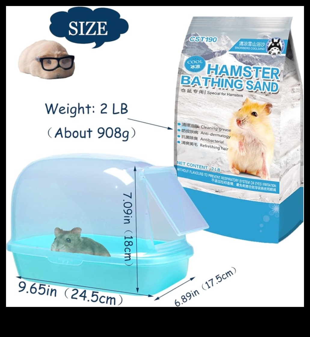 Το κομψό τσιντσιλά συνέχισε πώς να κρατάς το τρωκτικό σου κομψό με στολίδια 3 Κομψό τσιντσιλά Συνέχεια: Κρατήστε το τρωκτικό σας κομψό με στολίδια