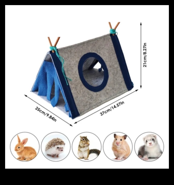 Rodent Retreats DIY Hideouts for Small Pets 3 Rodent Retreats: DIY Hideouts for Small Pets