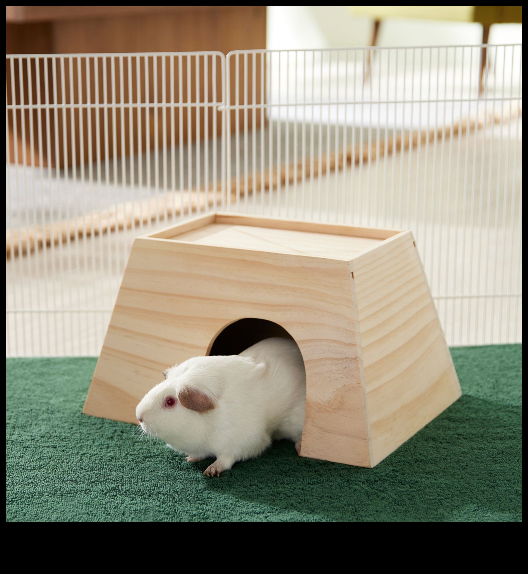 Rodent Retreats DIY Hideouts for Small Pets 4 Rodent Retreats: DIY Hideouts for Small Pets
