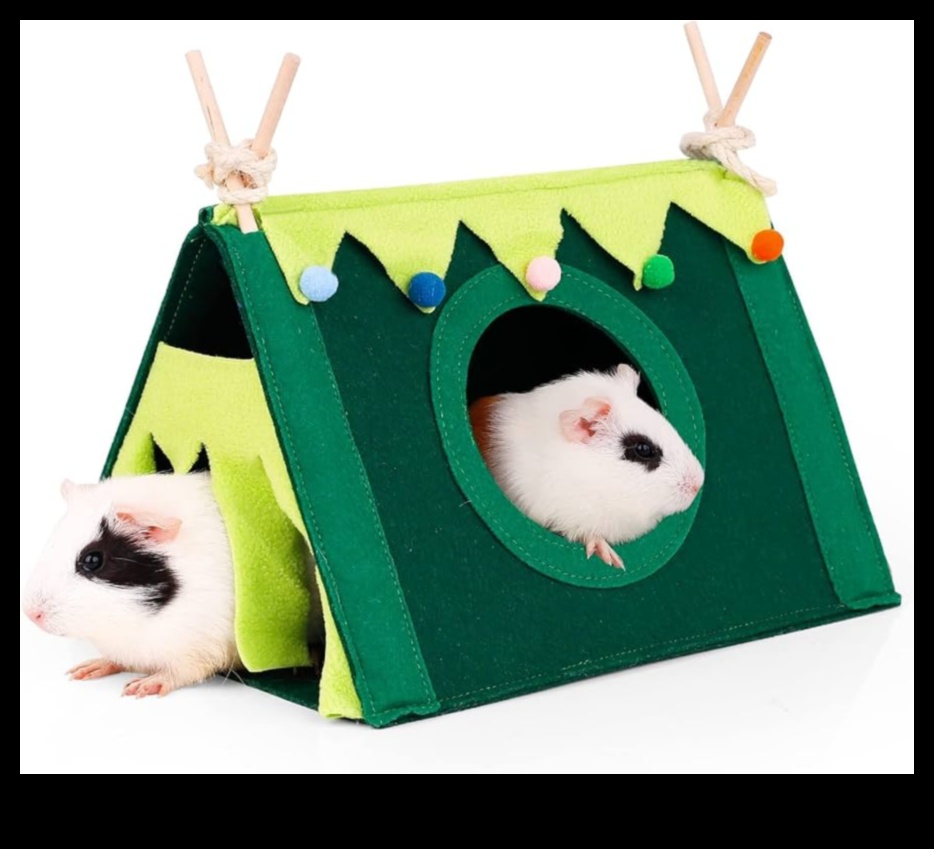 Rodent Retreats DIY Hideouts for Small Pets 2 Rodent Retreats: DIY Hideouts for Small Pets