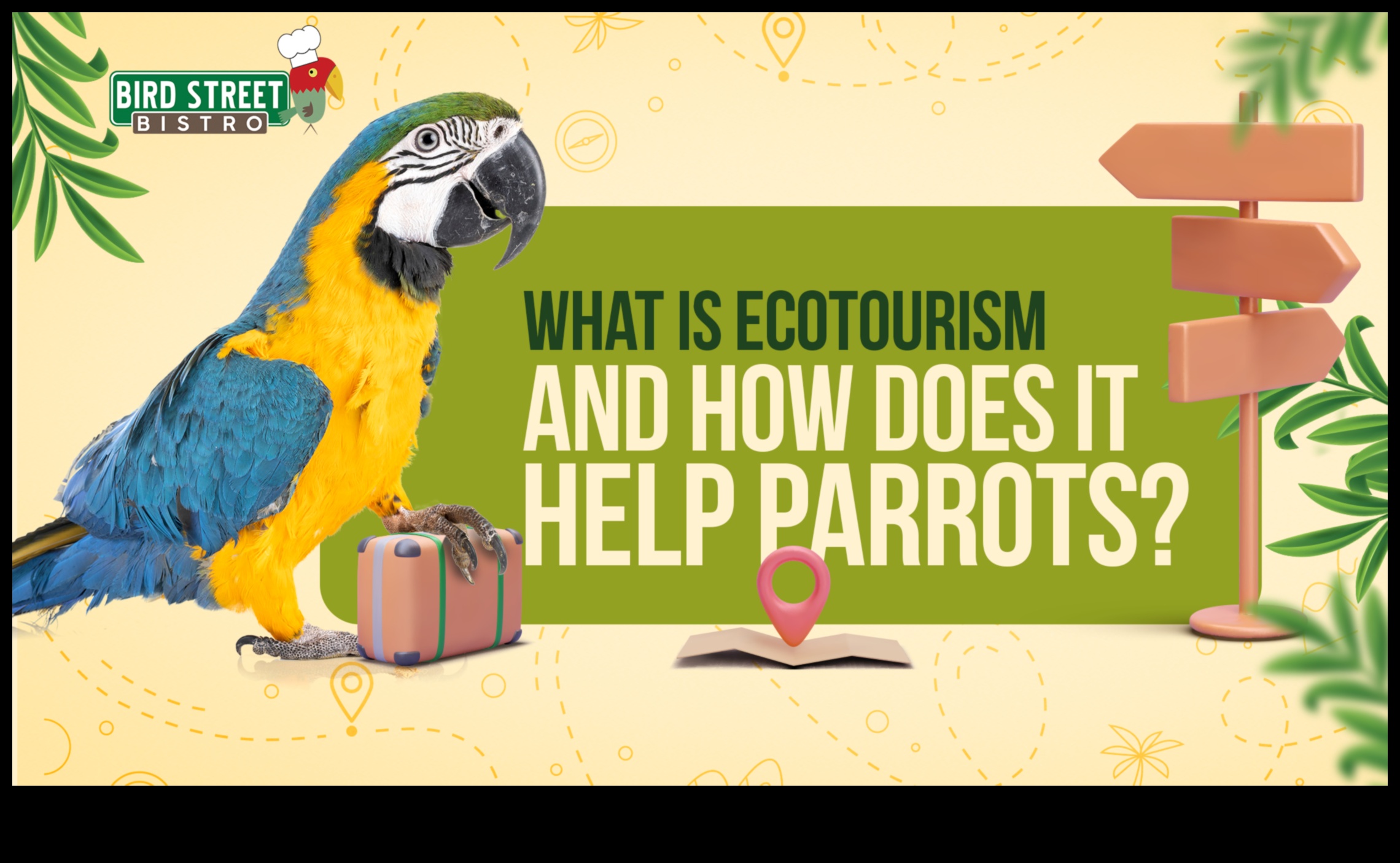 Πουλιά και Οικοτουρισμός: Εξισορρόπηση της Διατήρησης με τον Υπεύθυνο Τουρισμό