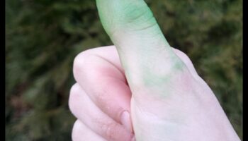 Green Thumb Gems: DIY Marvels for Your Enchanted Garden