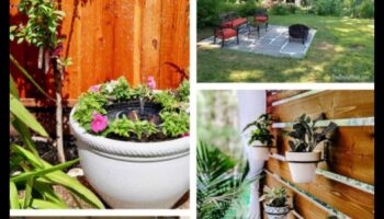 Grow Your Greenery: Functional DIY Idees for Gardens