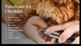 Pawdicures και Beyond Paw Care για σκύλους και γάτες 2 Pawdicures and Beyond: Paw Care for Dogs and Cats
