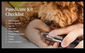 Pawdicures and Beyond: Paw Care for Dogs and Cats