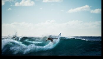 Riding the Wave: Strategies for Agile Business Development
