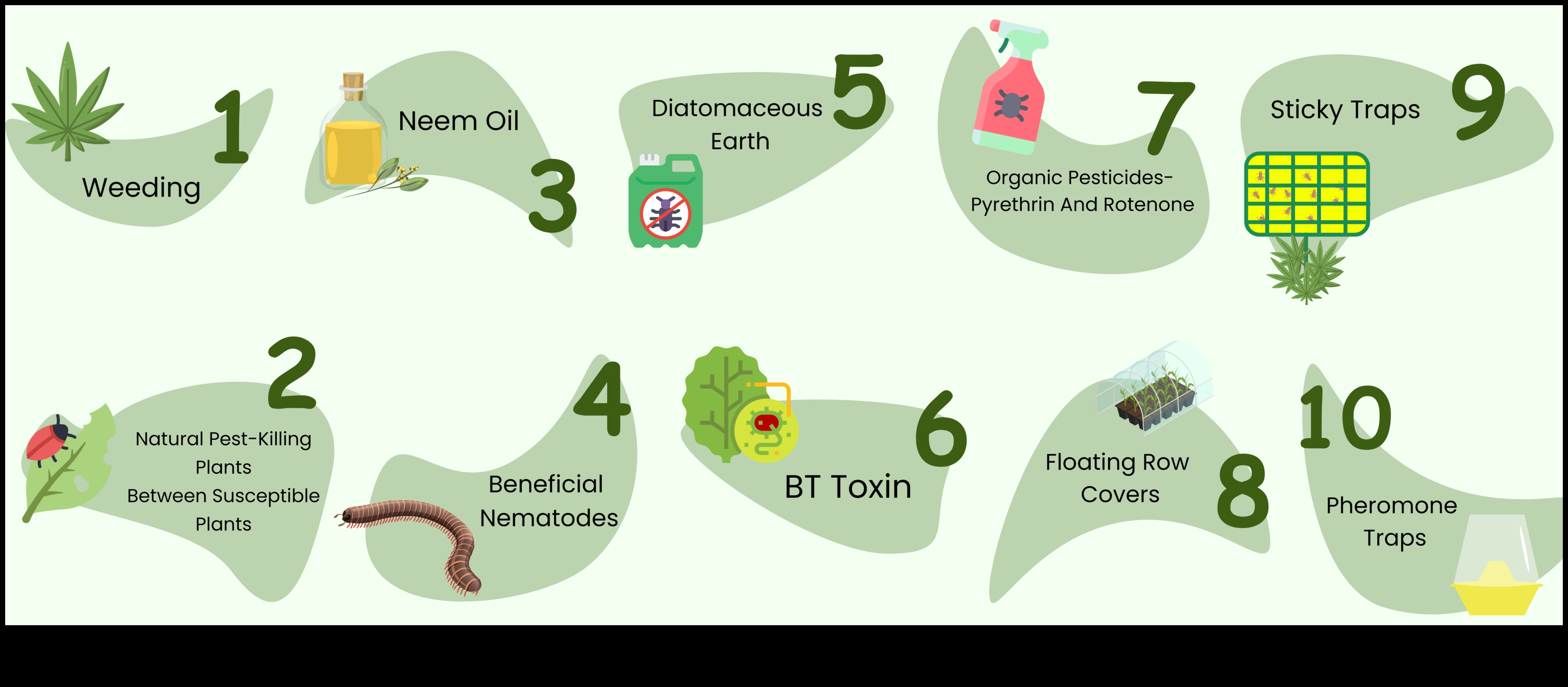 Παράδεισος με προστασία από παράσιτα Πώς να προστατέψετε τα χόρτα σας από επιβλαβή παράσιτα 1 Παράδεισος από παράσιτα: Προστατεύοντας τα Πράσινά σας με Εξειδίκευση