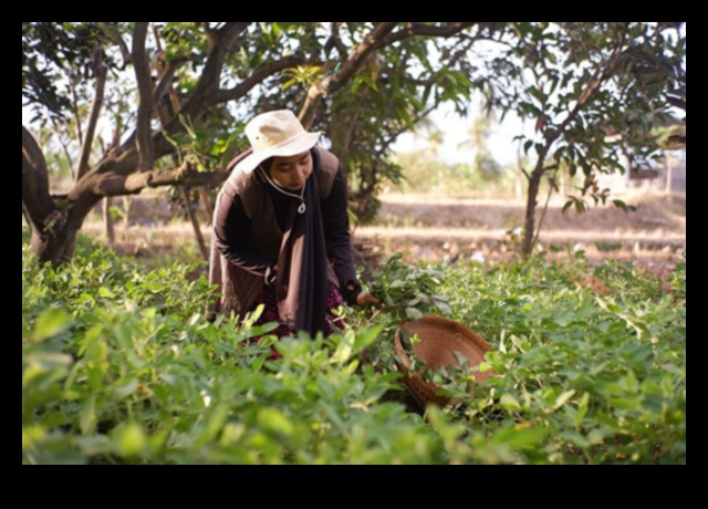 Harvesting Health: The Organic Gardeners' Legacy